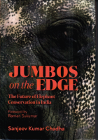 Jumbos on the edge
